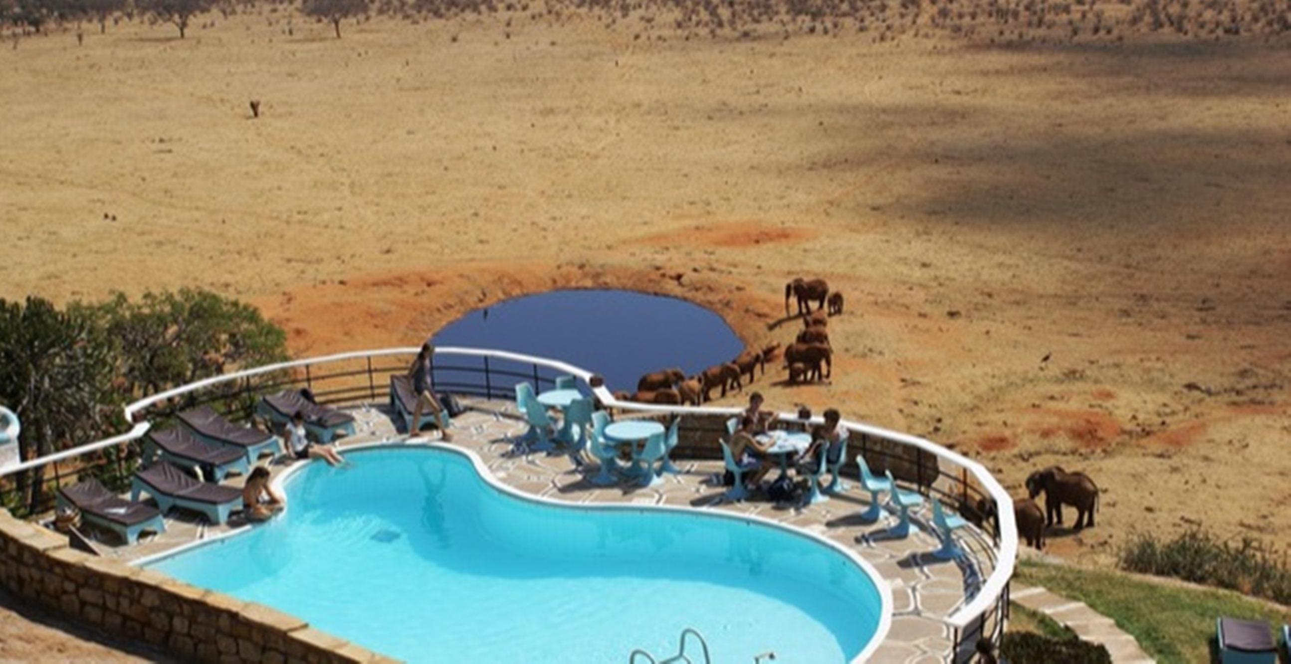 Voi Safari Lodge מראה חיצוני תמונה
